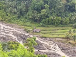 Tinjau Lokasi Banjir Bandang di Nagekeo Menteri PUPR Harus Ditangani Secara Cepat