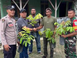 Pemuda dan Warga Merbau Dua Aceh Timur Tanam Ratusan Pohon Matoa