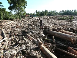 Siklon Tropis Senyar dan Urgensi Mitigasi Bencana
