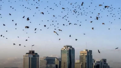 Langit Israel Mendadak Gelap