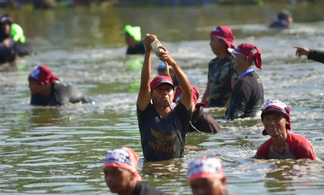 2 Ton Ikan